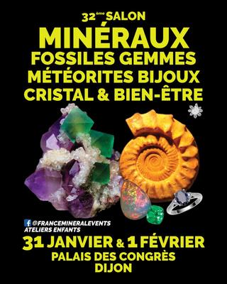 32ème Salon des Minéraux de Dijon - Cristaux, Fossiles, Gemmes, Météorites, Bijoux &amp; Bien-être