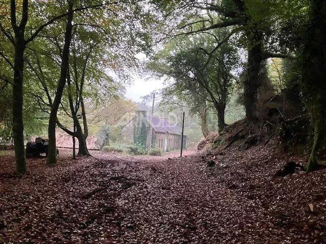 Moulin - 250 m² - 5 pièces