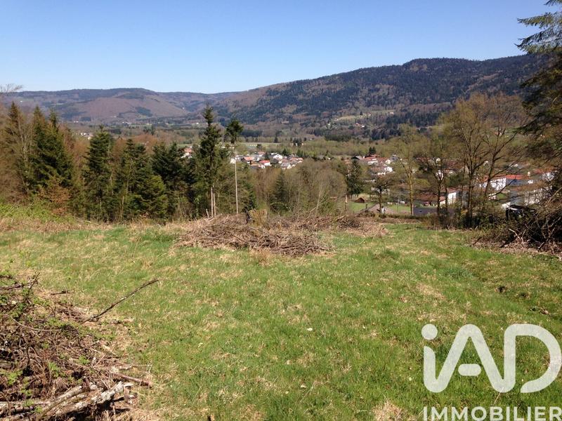 Terrain - 6 800 m²