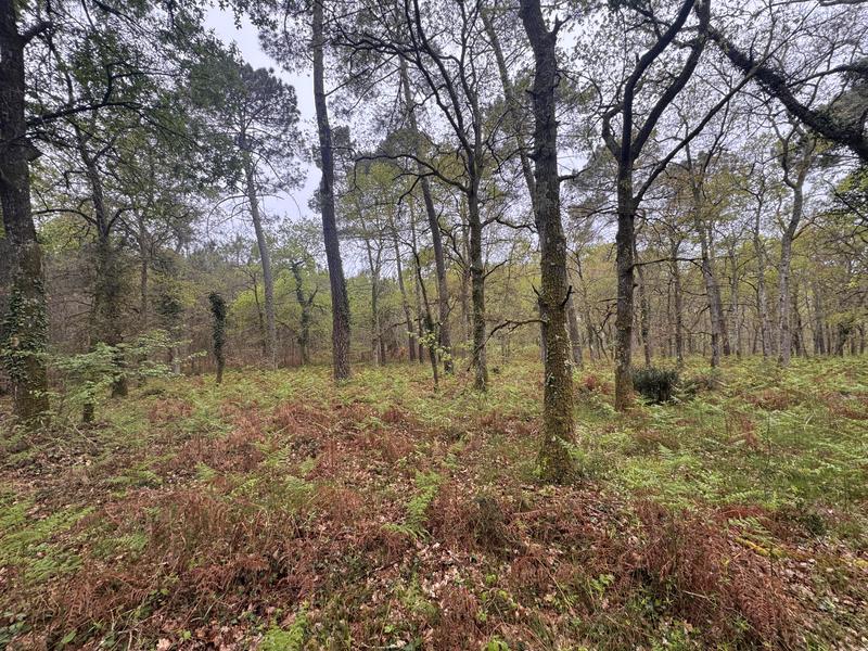 Terrain - 48 400 m²