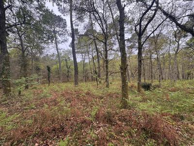 Terrain - 48 400 m²