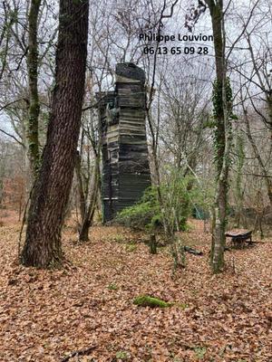 Forêt - 8 390 m²