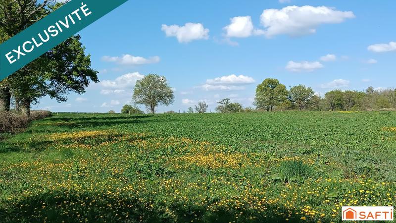 Terrain - 10 517 m²