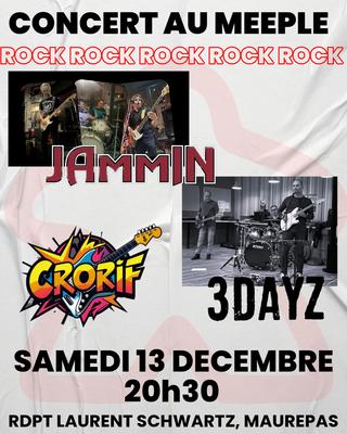 Concert Rock au Meeple