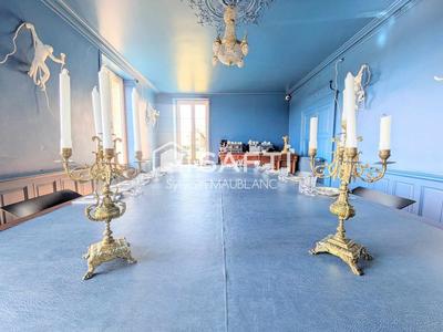 Château - 498 m² - 17 pièces