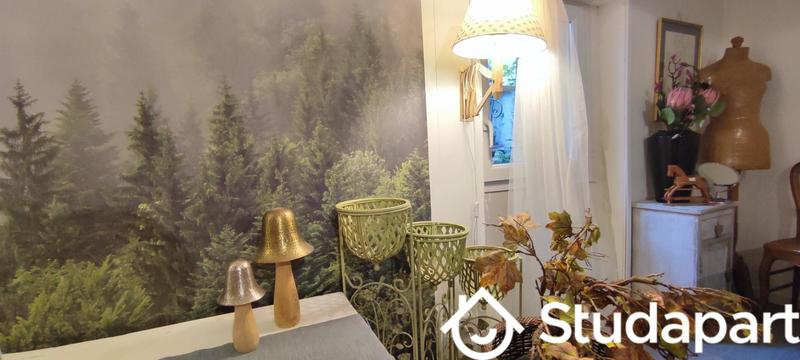 Maison - 36 m² - 1 pièce