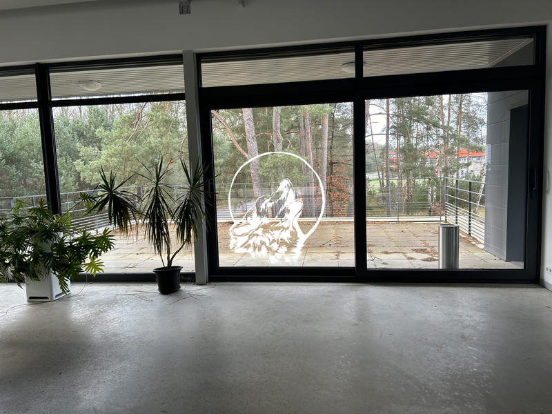 Local d'activités - 1 166 m² - 10 pièces