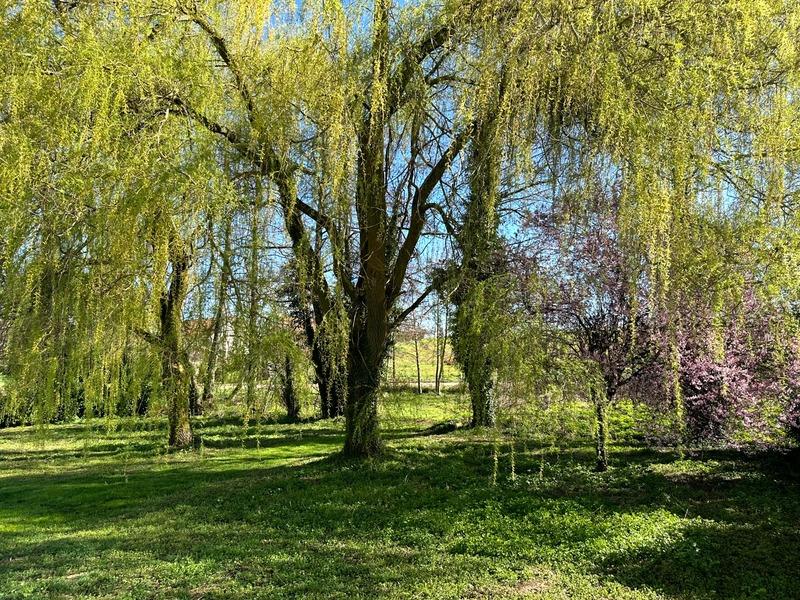 Maison de campagne - 234 m² - 8 pièces