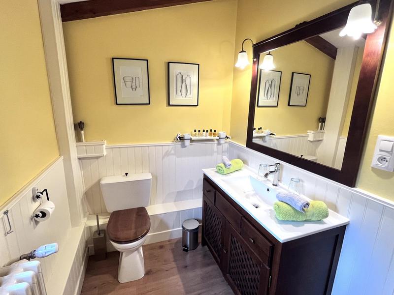 Maison traditionnelle - 293 m² - 10 pièces