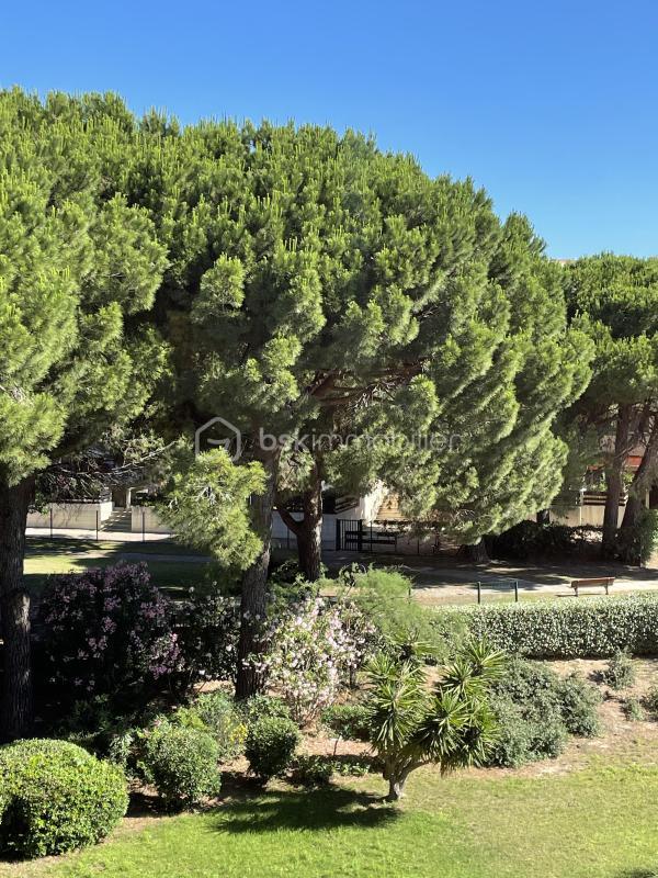 Studio - 23 m² - 1 pièce