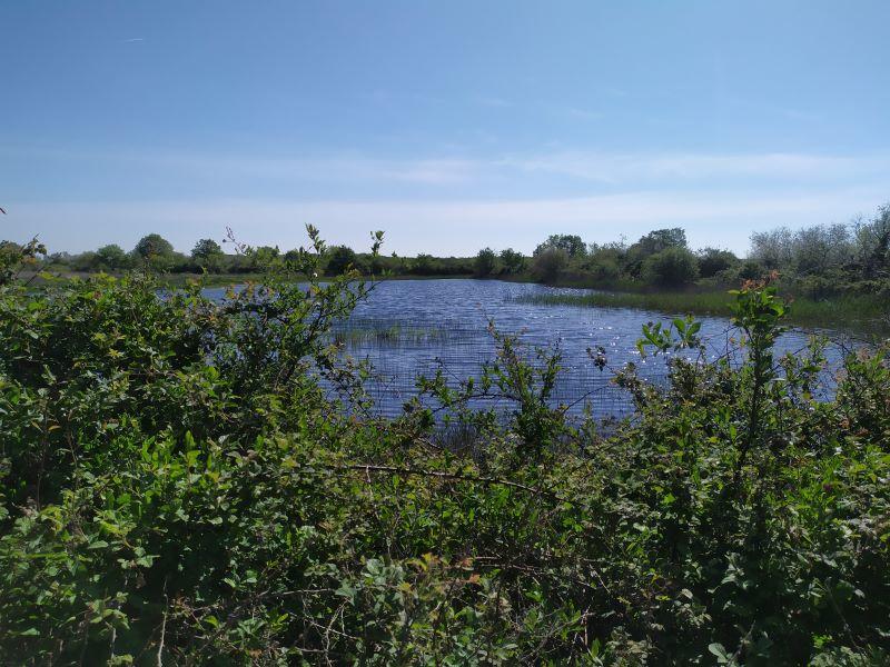 Les Terres de Renard