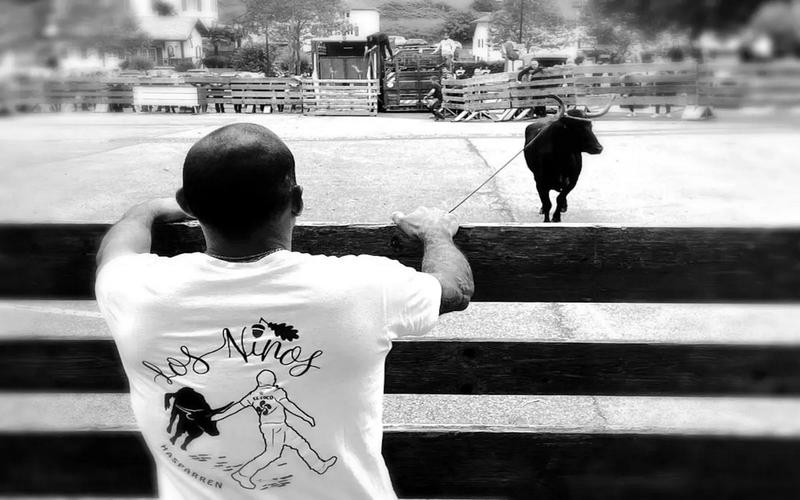 Courses de vaches au centre ville