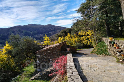 Maison - 199 m² - 5 pièces