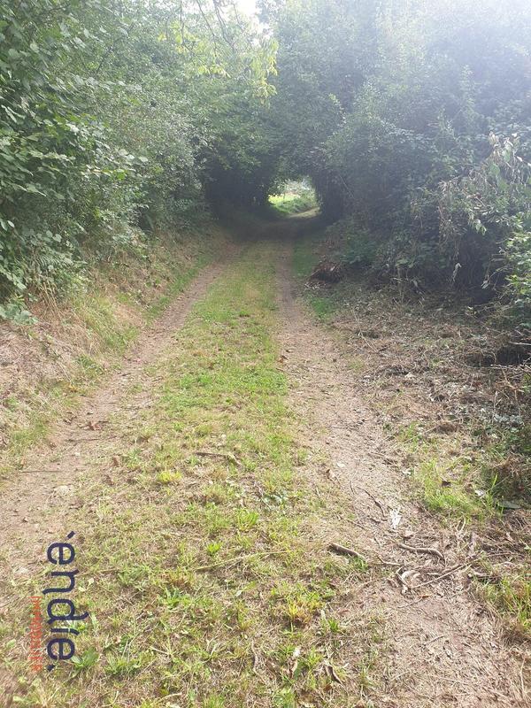 Corps de ferme - 159 m² - 7 pièces