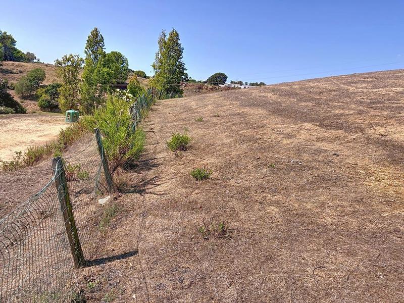 Terrain constructible - 5 000 m²