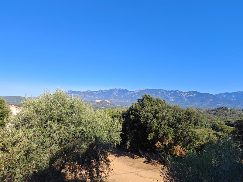 Maison - 235 m² - 7 pièces