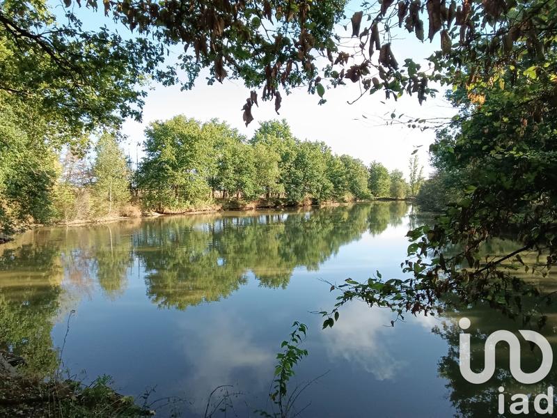 Terrain - 30 533 m²