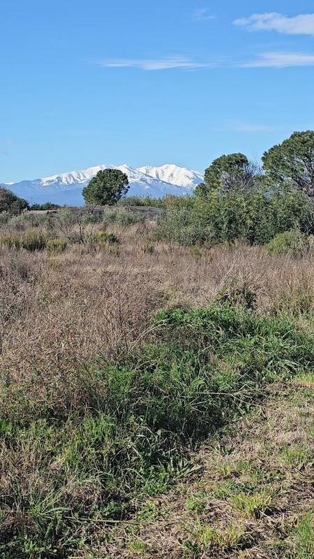 Terrain agricole - 4 272 m²