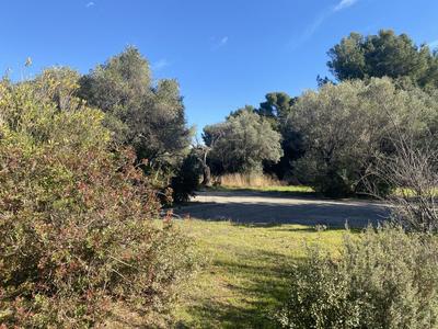 Terrain constructible - 2 000 m²