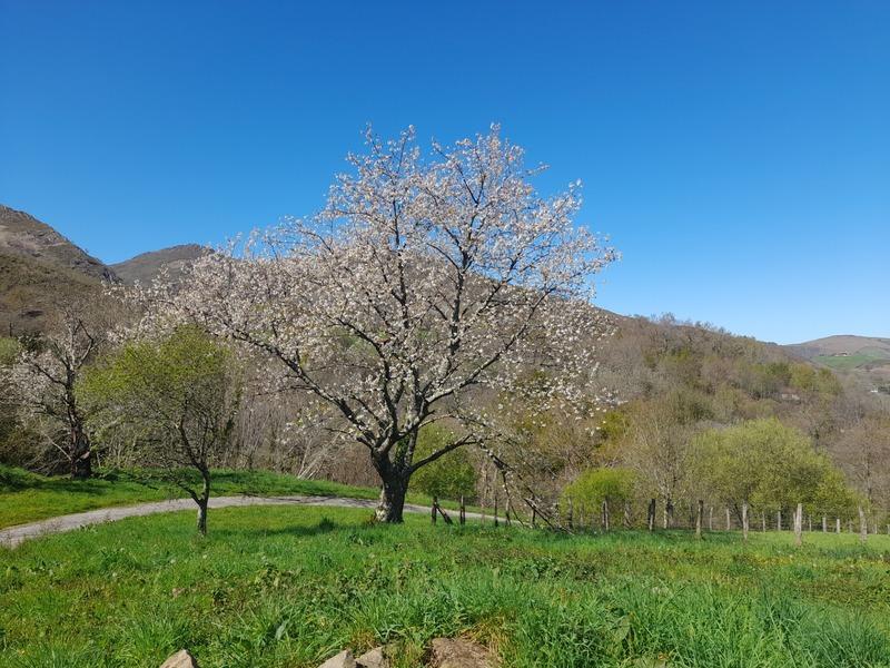 Propriété - 220 m² - 8 pièces