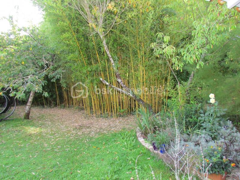 Maison ancienne - 223 m² - 7 pièces