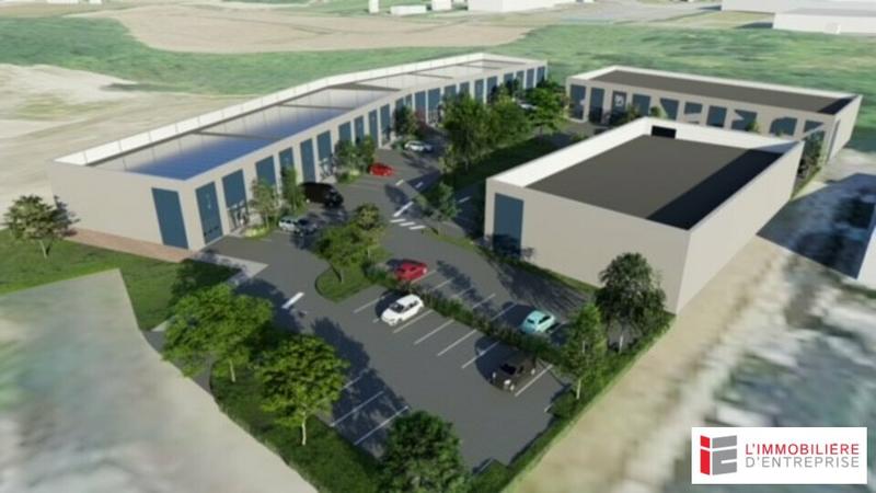 Local d'activité / Entrepôt - 250 m²