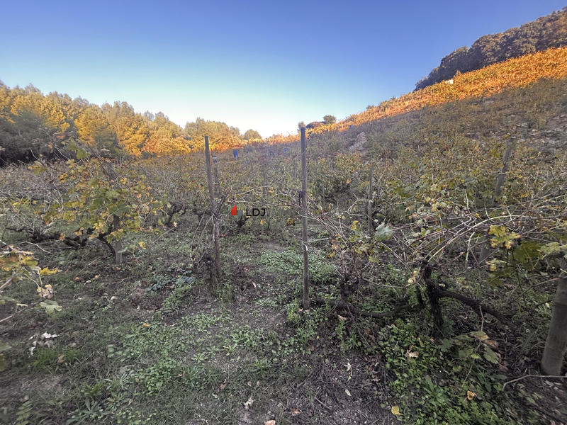 Terrain agricole - 15 m²