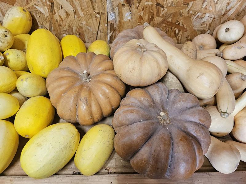 Atelier d'Halloween à la ferme Aïoli Caganis