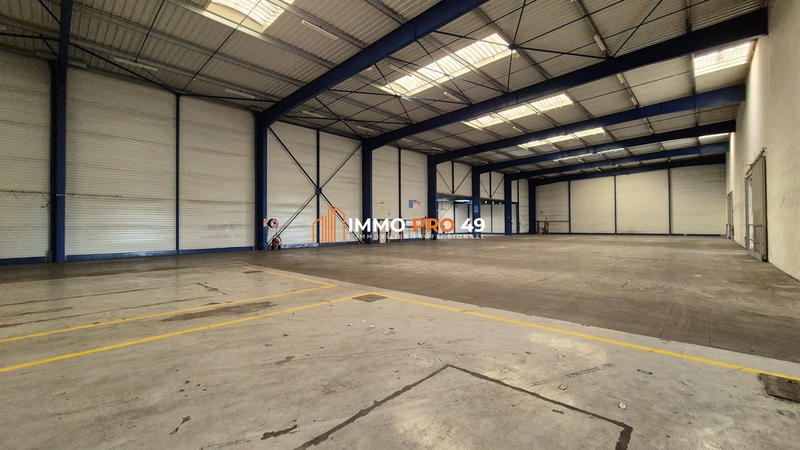 Local d'activités - 3 800 m²