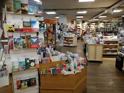 Le Pavé Dans la Mare