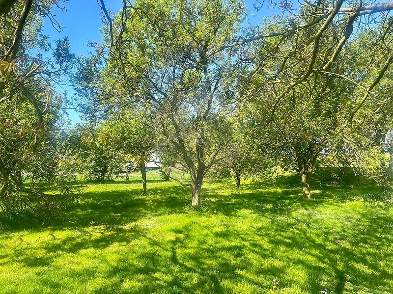 Propriété - 102 m² - 5 pièces