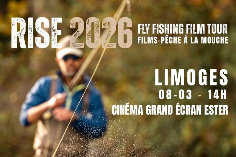 Projection du Rise Festival