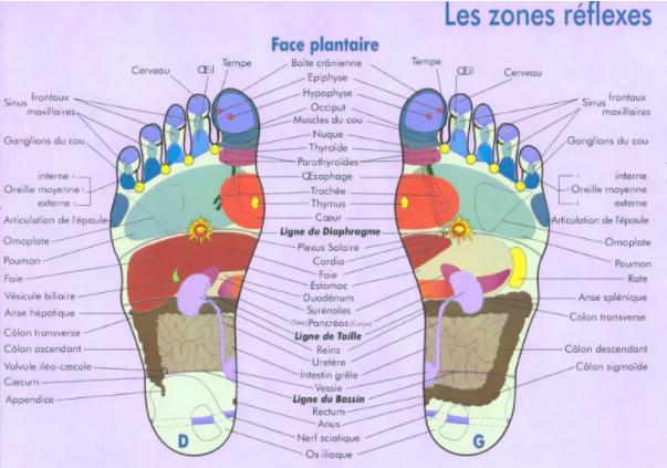 Réflexologue  Atrapuncteur  Isabelle Wiehn