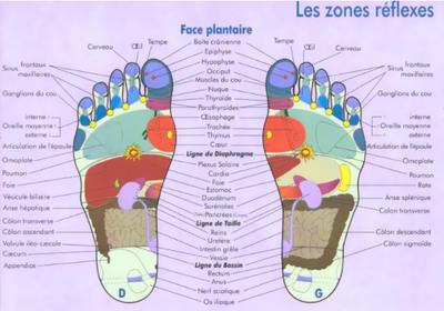 Réflexologue  Atrapuncteur  Isabelle Wiehn