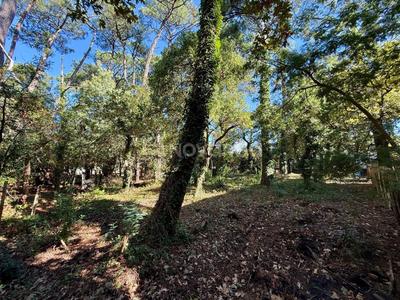 Terrain constructible - 627 m²