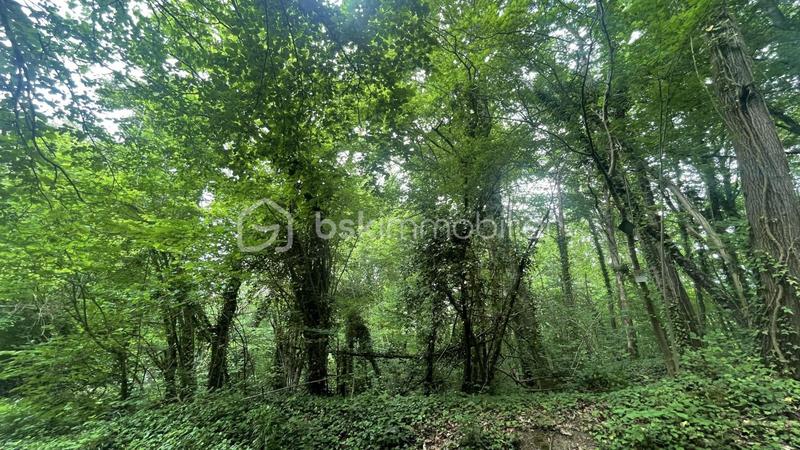 Terrain de loisirs - 1 900 m²