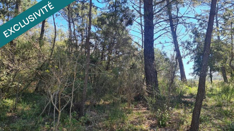 Terrain agricole - 11 480 m²