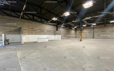 Local d'activité / Entrepôt - 913 m²