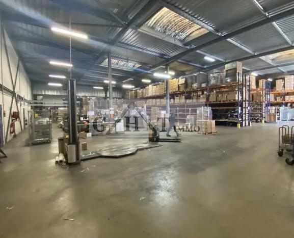 Entrepôt - 1 635 m²