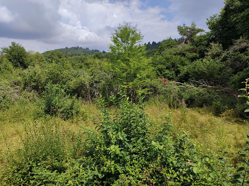 Maison - 43 m² - 2 pièces