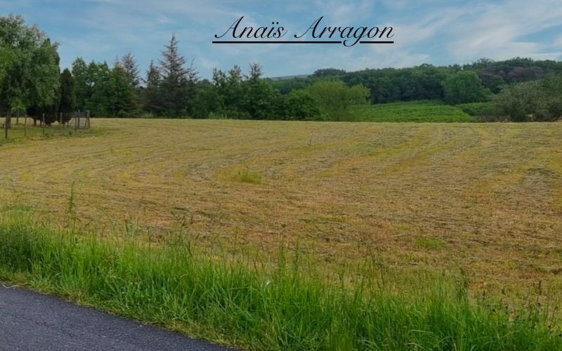 Terrain constructible - 1 316 m²