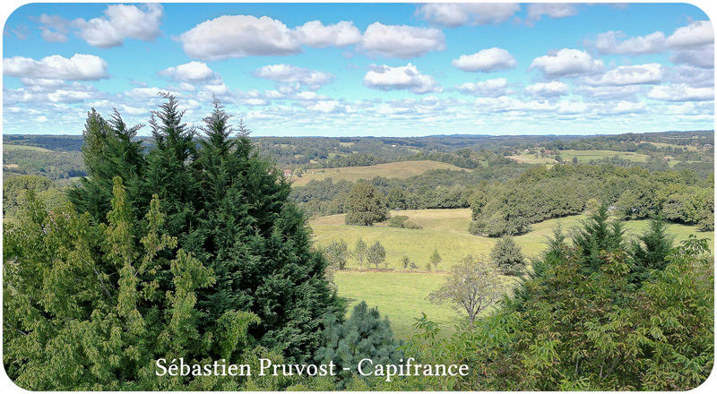 Maison de maîtres - 325 m² - 11 pièces