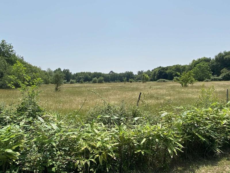 Maison en pierre - 280 m² - 7 pièces