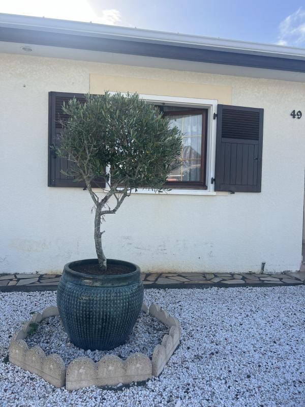 Villa - 170 m² - 5 pièces