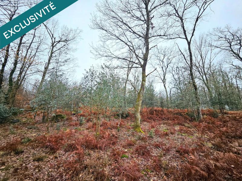 Terrain agricole - 9 570 m²