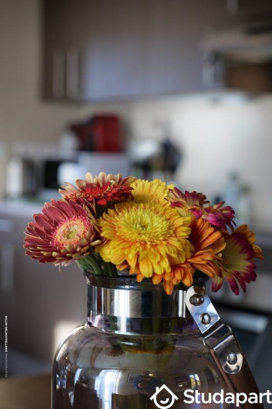 Appartement - 49 m² - 2 pièces