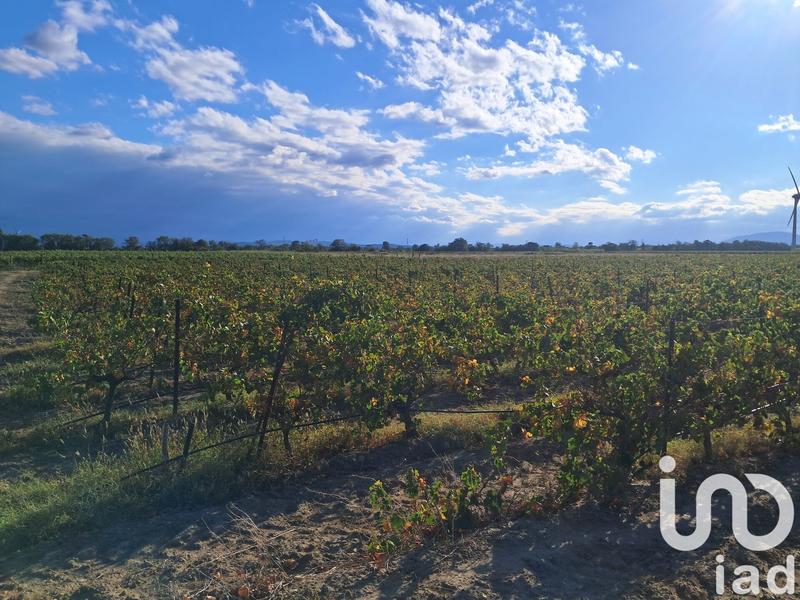 Terrain agricole - 29 000 m²