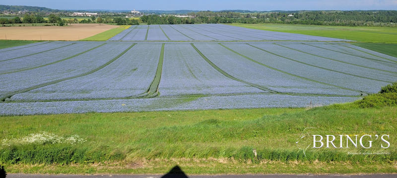 Manoir - 150 m² - 4 pièces