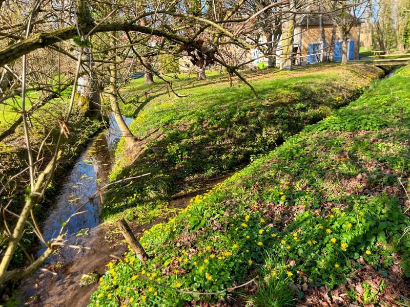 Moulin - 401 m² - 15 pièces