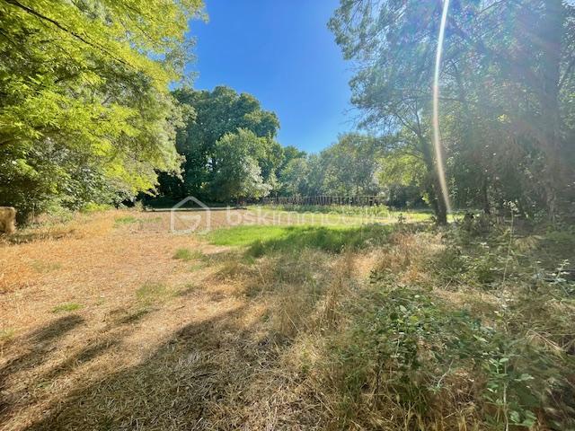 Terrain agricole - 6 013 m²